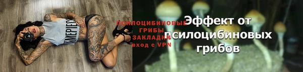 первитин Арсеньев