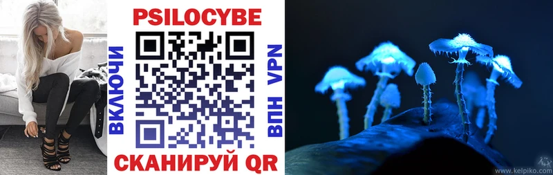 наркошоп  Пушкино  Псилоцибиновые грибы Cubensis 